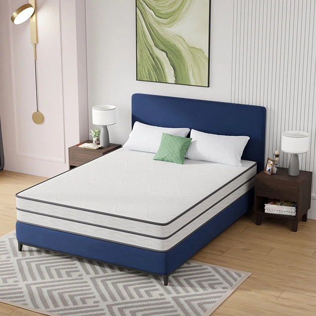 Catmint 10" Queen Innerspring Mattress