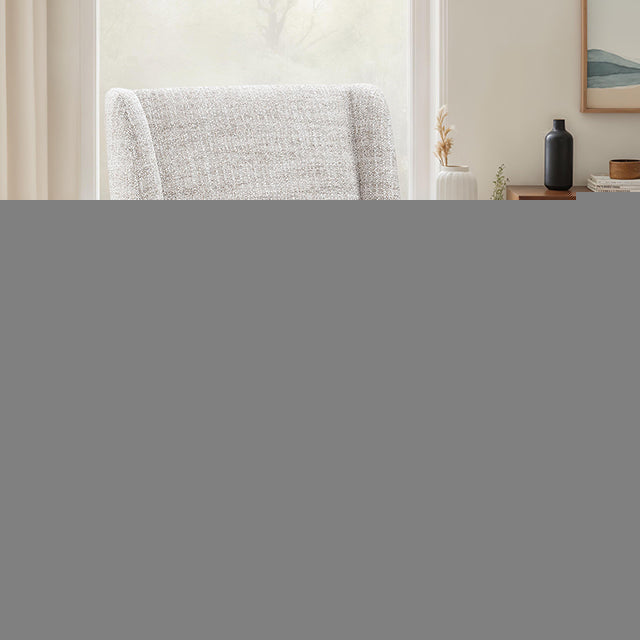 Fede Dining Side Chair (1/CTN)