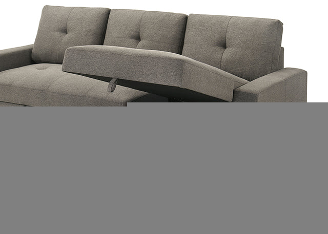 Giorgi Sectional w/ Pullout